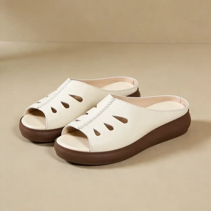 👠【35–41】Elegantne i moderne ženske cipele s mekim potplatima