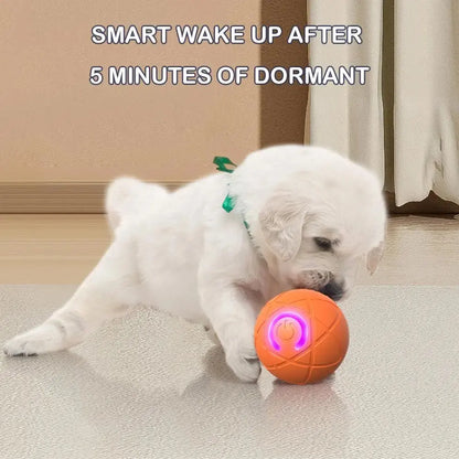 🎁【2 artikla】Interaktivna loptica za odskakanje pametnih kućnih ljubimaca🐶